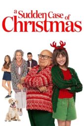 Nonton Film A Sudden Case of Christmas (2024) Nonton Film A Sudden Case of Christmas (2024)